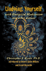 Image for Undoing Yourself: With Energized Meditation and Other Devices