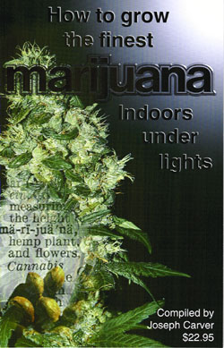 Image for How to Grow the Finest Marijuana Indoors Under Lights