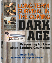 Image for Long-Term Survival in the Coming Dark Age: Preparing to Live After Society Crumbles