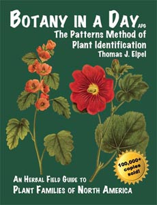 Image for Botany In A Day: The Patterns Method of Plant Identification