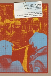 Image for Fire and Flames: A History of the German Autonomist Movement